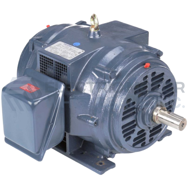 284TS DP WB CI.jpg